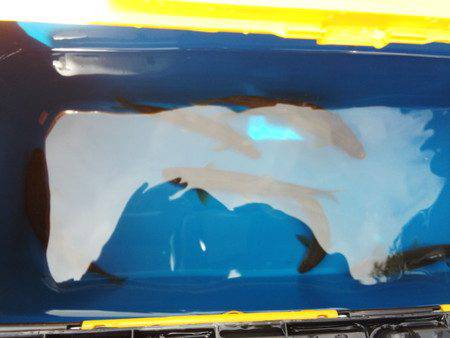 安倍川・藁科川（安倍藁科川漁業協同組合） …