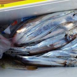 暁〜akatsuki〜 釣果