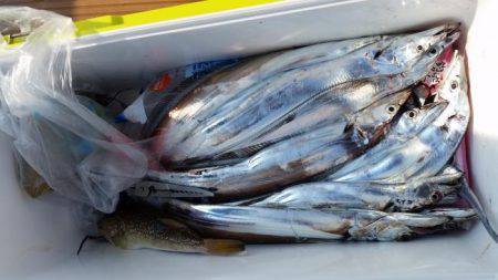 暁〜akatsuki〜 釣果