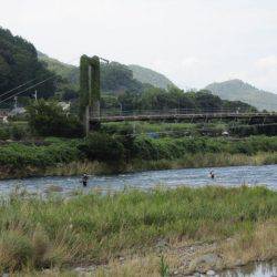 狩野川(狩野川漁業協同組合) 釣果