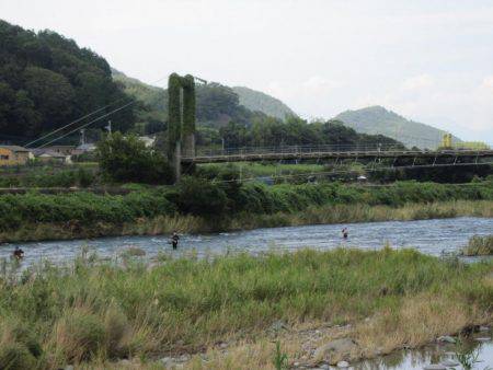 狩野川(狩野川漁業協同組合) 釣果