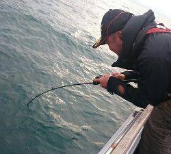 IDATEN（イダテン） 釣果