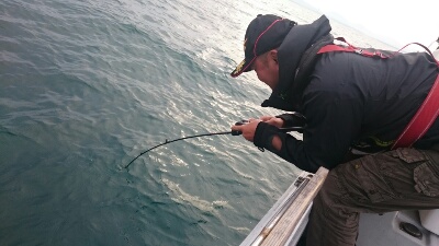 IDATEN（イダテン） 釣果