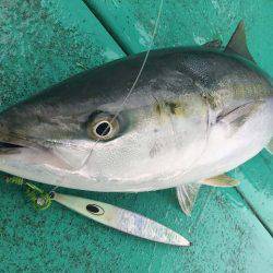 広進丸 釣果