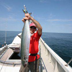 オーシャンズ　京都 釣果