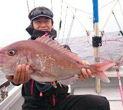 IDATEN(イダテン) 釣果