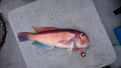 IDATEN(イダテン) 釣果