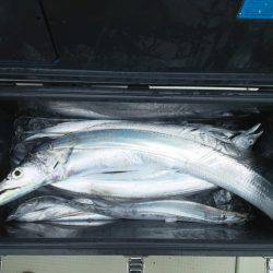 遊漁船 ニライカナイ 釣果