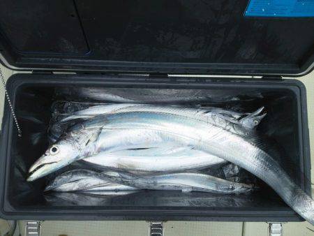 遊漁船 ニライカナイ 釣果