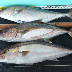 武勝丸（ぶしょうまる） 釣果