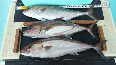 武勝丸（ぶしょうまる） 釣果