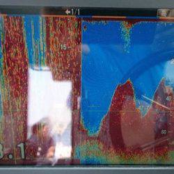 スカイマリン 釣果