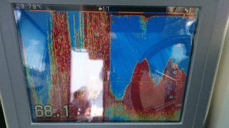 スカイマリン 釣果