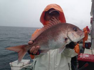 なかくに丸 釣果