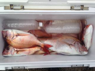 なかくに丸 釣果