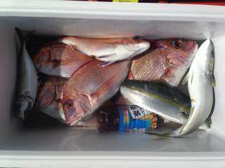 なかくに丸 釣果