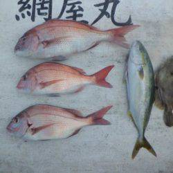 網屋丸 釣果