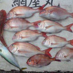 網屋丸 釣果