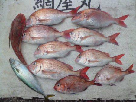 網屋丸 釣果