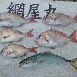 網屋丸 釣果