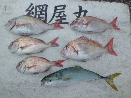 網屋丸 釣果
