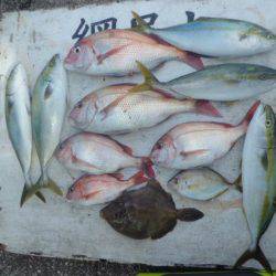 網屋丸 釣果