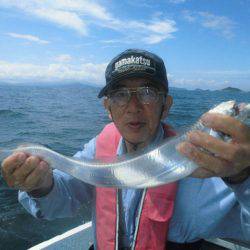 大進丸(愛知) 釣果