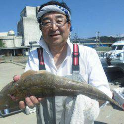 大進丸(愛知) 釣果