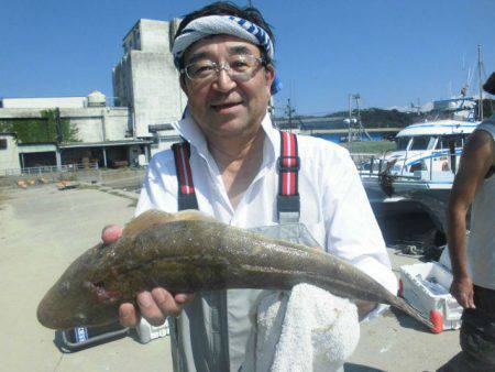 大進丸(愛知) 釣果