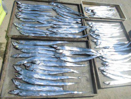 大進丸(愛知) 釣果