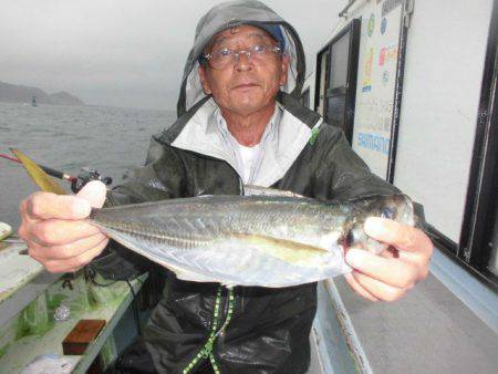 大進丸（愛知） 釣果