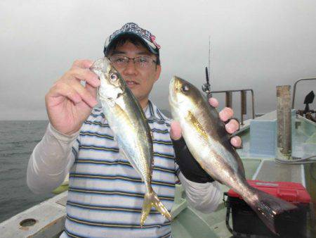 大進丸（愛知） 釣果