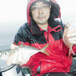 大進丸（愛知） 釣果