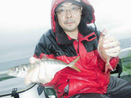 大進丸（愛知） 釣果