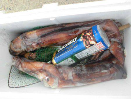 大進丸（愛知） 釣果