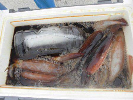 大進丸（愛知） 釣果