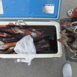 大進丸（愛知） 釣果