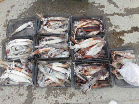 大進丸（愛知） 釣果