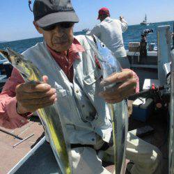 大進丸（愛知） 釣果