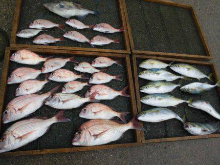 大進丸（愛知） 釣果