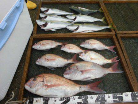 大進丸（愛知） 釣果