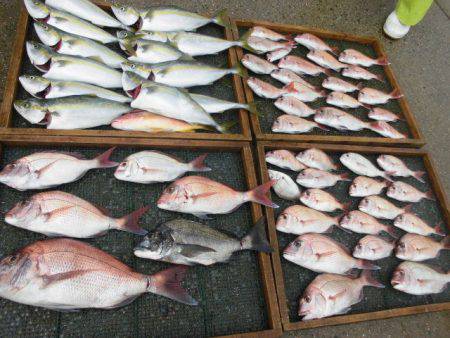 大進丸（愛知） 釣果