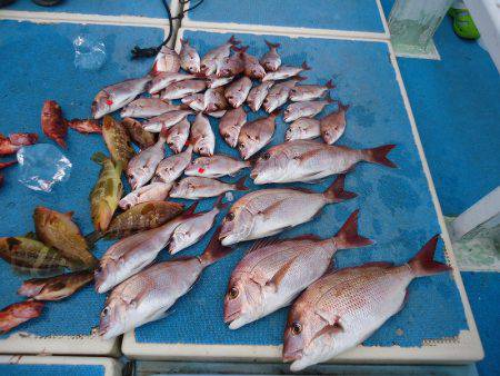 十八宝洋丸 釣果