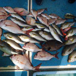 十八宝洋丸 釣果