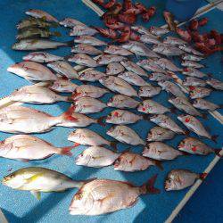 十八宝洋丸 釣果