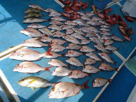 十八宝洋丸 釣果