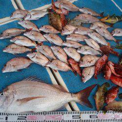 十八宝洋丸 釣果