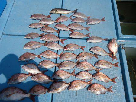 十八宝洋丸 釣果