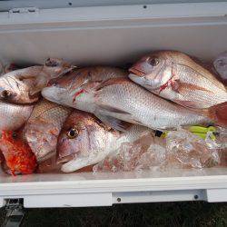 十八宝洋丸 釣果