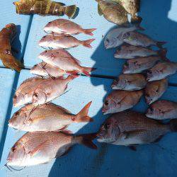 十八宝洋丸 釣果